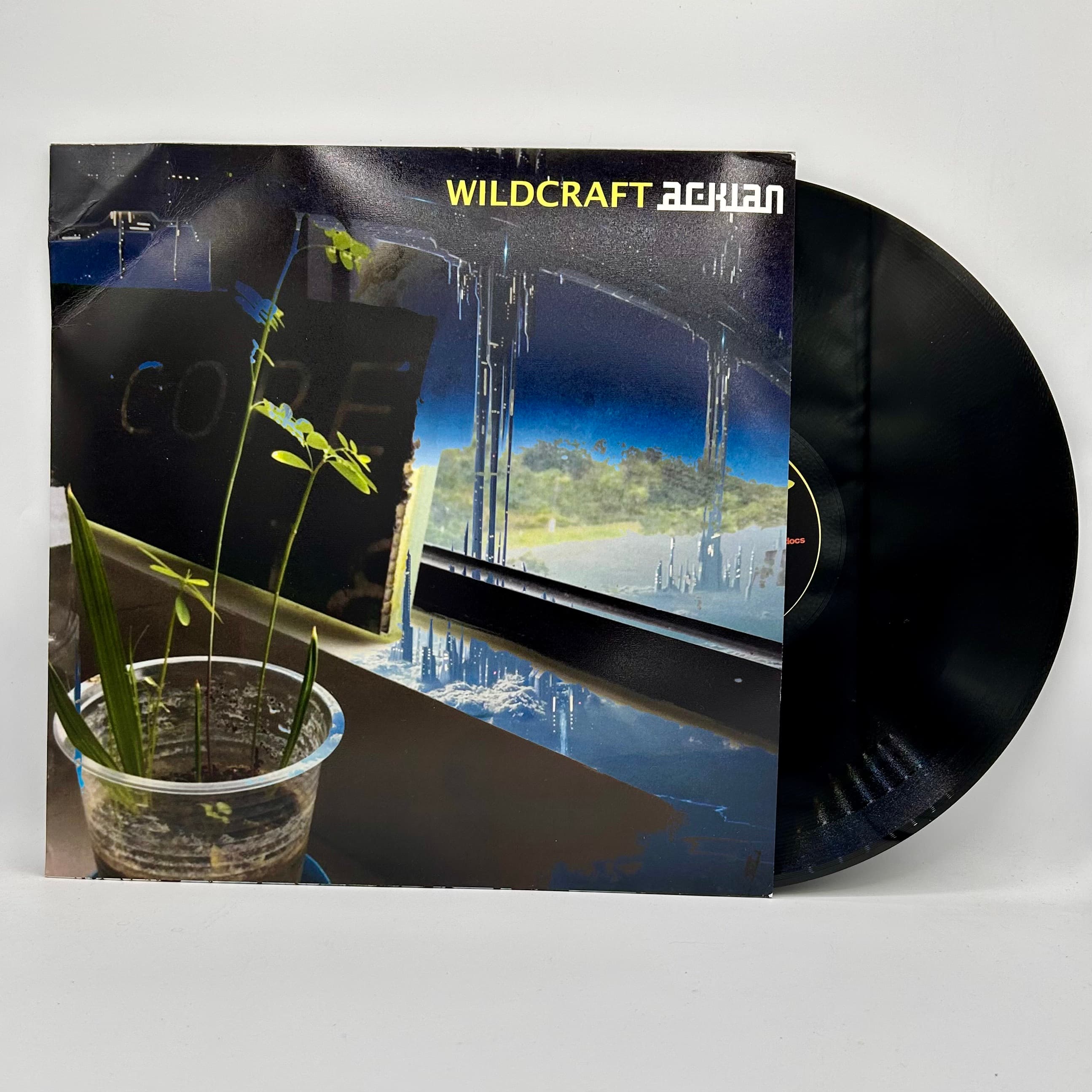Vinyl