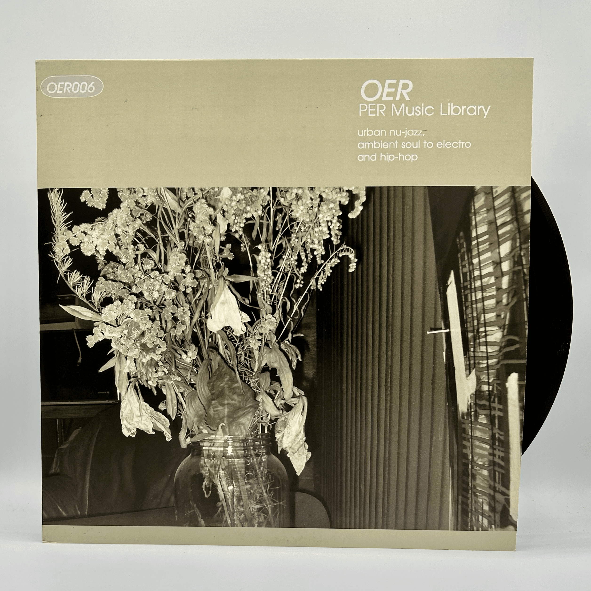 Vinyl (OER Version)